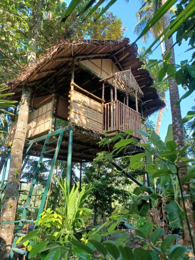 Kayyalas Courtyard Thrissur Bagian luar foto